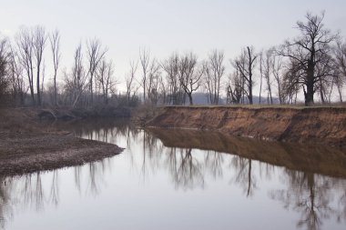 Nehir manzarası ve yaprakları olmayan ağaçlar sisli bahar sabahının erken saatlerinde