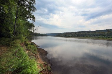 Sakin bir gölün yaz manzarası ve bulutlu bir günde sahilde ağaçlar.