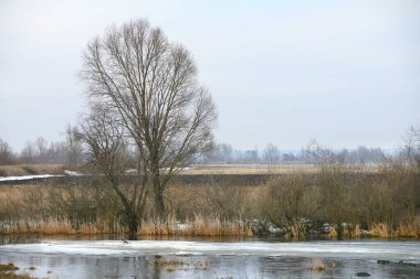 Baharın başlarında bulutlu bir günde nehir üzerindeki buz tabakası sürükleniyor.