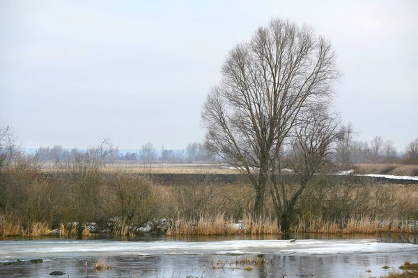 Paysage Dérive Glace Sur Rivière Début Printemps Par Une Journée — Photo