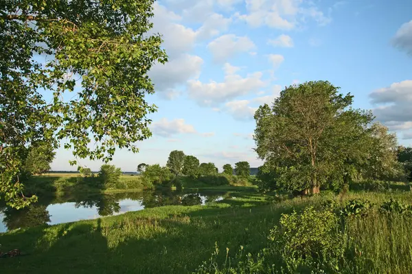 Yaz manzarası sabahın erken saatlerinde nehirde ve bulutlar suyun aynalı yüzeyine yansıdı.