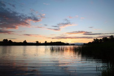 Yaz manzarası güzel pembe gün batımı nehirde ve kıyıya yakın sazlıklar