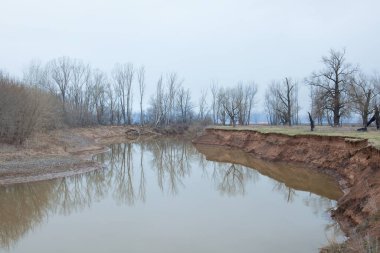 Nehir manzarası ve yaprakları olmayan ağaçlar sisli bahar sabahının erken saatlerinde