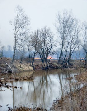 Nehir kıyısında bahar manzarası yangını, kuru çimenleri yakan sisli bir sabah.