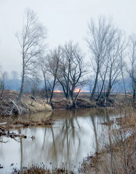 Nehir kıyısında bahar manzarası yangını, kuru çimenleri yakan sisli bir sabah.