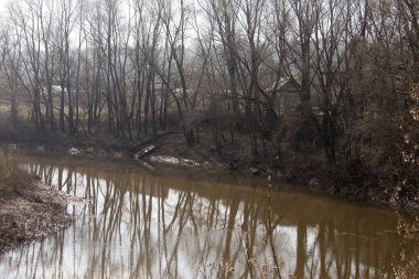 Nehir manzarası ve yaprakları olmayan ağaçlar sisli bahar sabahının erken saatlerinde