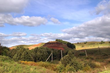 Ağaçları ve tepeleri yuvarlanan bir tarladaki elektrik hatları