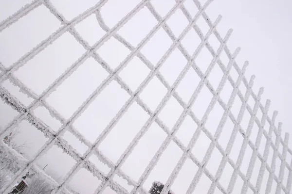 Metal Örgü Çitlerin Çalıların Kış Manzarası Buz Gibi Sisli Bir — Stok fotoğraf