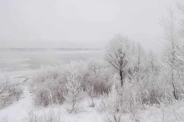 Winter Landscape Dense Fog River Ice Trees Covered Frost Shore — Stock Photo, Image