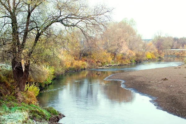 Paesaggio Autunnale Scenografico Boschetto Querce Con Foglie Ingiallite Vicino Fiume — Foto Stock