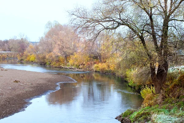 Scenic Autumn Landscape Oak Grove Yellowed Leaves River Frost Grass — Stock Photo, Image