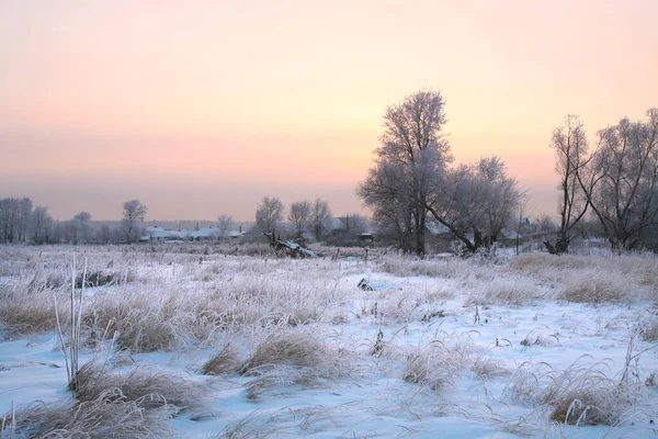 Winter Landscape Oaks Dry Grass Frost River Sunset — Stock Photo, Image