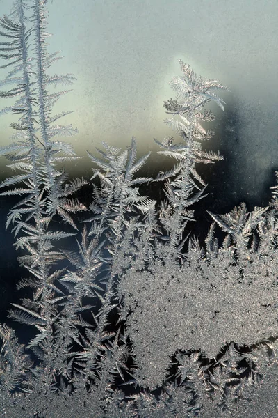 Macro Bellissimi Intricati Modelli Gelo Sul Vetro Una Fredda Giornata — Foto Stock