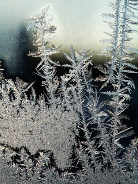 Makro Piękne Skomplikowane Wzory Mrozu Szkle Chłodny Zimowy Dzień — Zdjęcie stockowe