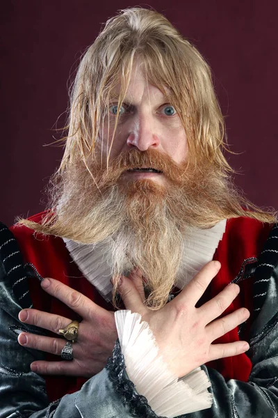 Крупным Планом Портрет Взрослого Мужчины Длинными Светлыми Волосами Бородой Безумными — стоковое фото
