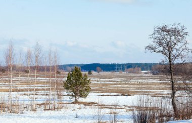 Geniş tarlalarda kar eriyor ilkbaharın başlarında, bulutlu bir günde gün batımında.