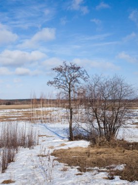 Geniş tarlalarda kar eriyor ilkbaharın başlarında, bulutlu bir günde gün batımında.