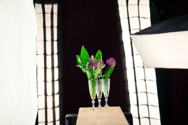 Vadideki makro Lily ve siyah arka planda dekoratif soğan stüdyosu.