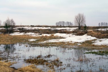 Baharın başlarında bulutlu bir günde nehir üzerindeki buz tabakası sürükleniyor.