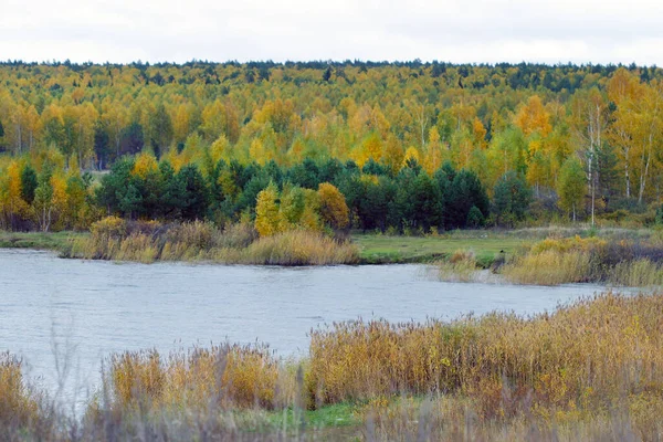 Paisaje Otoñal Escénico Follaje Colorido Bosque Cerca Del Río Día —  Fotos de Stock