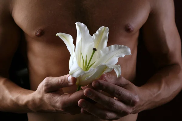 在赤身裸体的背景下 工作室黑暗的背景下 手中拿着精致的白色百合花 — 图库照片