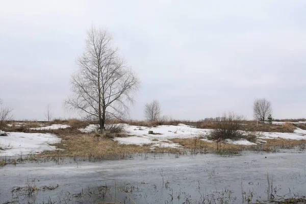 Landschaft Eisdrift Auf Dem Fluss Zeitigen Frühling Einem Bewölkten Tag — Stockfoto