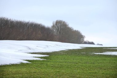 Baharın başlarında, eritilmiş karların altında yeni yeşil çimenlerin olduğu arazide bulutlu bir günde.