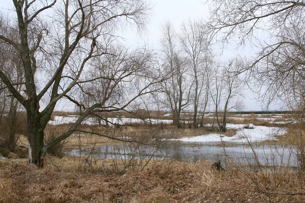 Krajobraz Lód Dryfuje Rzece Wczesną Wiosną Pochmurny Dzień — Zdjęcie stockowe