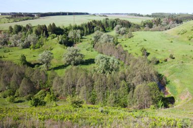Güneşli bir günde çayırların, ağaçların ve köyün bahar manzarası.