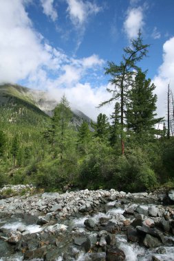 Güzel bir yaz nehri, uçurumlar, ormanlar ve mavi gökyüzünde harika bulutlar. 