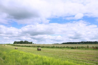 Çayırdaki saman yığınları ve bulutlu gökyüzü