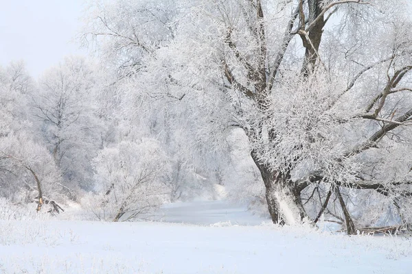 Vinterlandskap Snötäckta Fält Träd Och Flod Tidig Dimmig Morgon — Stockfoto