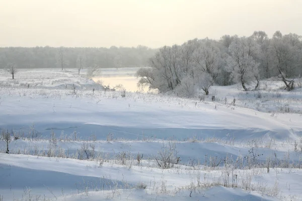 Winterlandschap Van Besneeuwde Velden Bomen Rivieren Vroege Mistige Ochtend — Stockfoto