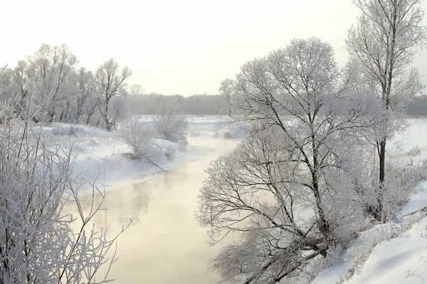 Winter Landscape Snow Covered Fields Trees River Early Misty Morning — Stock Photo, Image