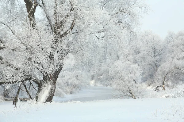 Paesaggio Invernale Campi Innevati Alberi Fiume Mattino Presto Nebbioso — Foto Stock