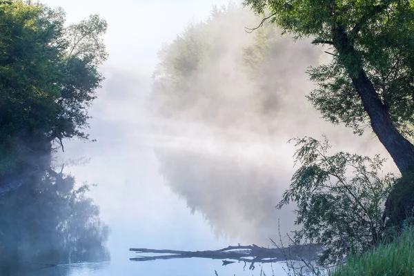 夏の風景日の出に川の近くのオーク林の濃霧 — ストック写真