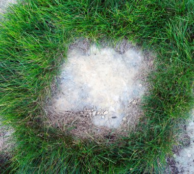 Parlak yeşil çimlerde, güneş ışığında düz süslü taşın yakın çekimi 