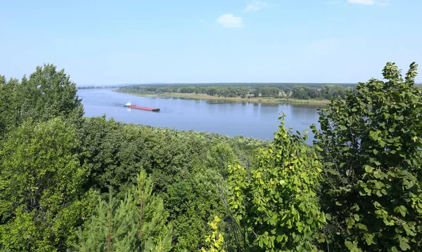 阳光明媚的一天 河上的夏季景观驳船 绿树成荫的海滩 从顶部可欣赏到美景 — 图库照片