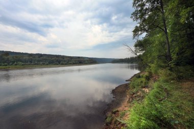 Sakin bir gölün yaz manzarası ve bulutlu bir günde sahilde ağaçlar.