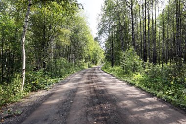 Urallar 'daki ormanda toprak bir yolun yaz manzarası