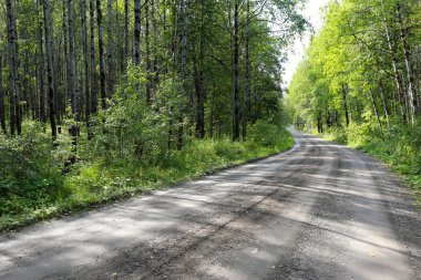 Urallar 'daki ormanda toprak bir yolun yaz manzarası