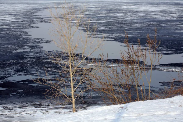 Flusslandschaft Zerlegt Und Treibeis Zeitigen Frühling Die Bäume Ufer Ohne — Stockfoto