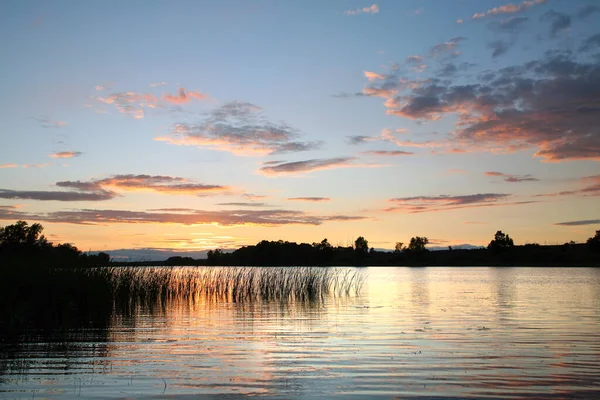 Paisaje Verano Hermoso Atardecer Rosa Río Cañas Cerca Orilla —  Fotos de Stock