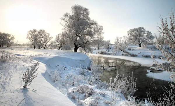Зимний Пейзаж Заснеженных Полей Деревьев Реки Рано Утром — стоковое фото