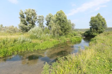 Güzel yaz manzarası küçük, sakin nehirler, ağaçlar ve gökyüzü yansıyor aynalı suya