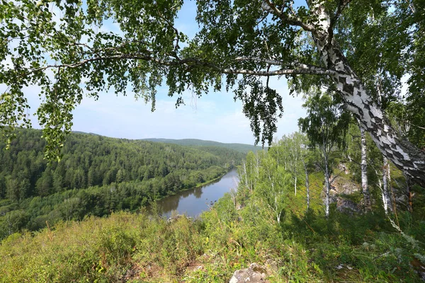 Vacker Sommar Landskap Björk Lund Uralbergen Klar Solig Dag — Stockfoto