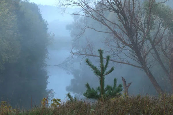 Autumn Landscape Mysterious Foggy Morning Field River Dawn — Stock Photo, Image