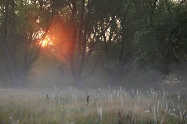 Höst Landskap Mystisk Dimmig Morgon Ett Fält Nära Floden Gryningen — Stockfoto