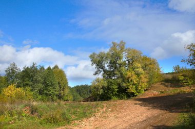 Yaprak döken ormanın sonbahar manzarası güneşli bir günde renkli yapraklarla
