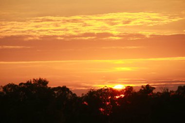 Nehrin üzerinde manzara resimli günbatımı sessiz bir sonbahar akşamı